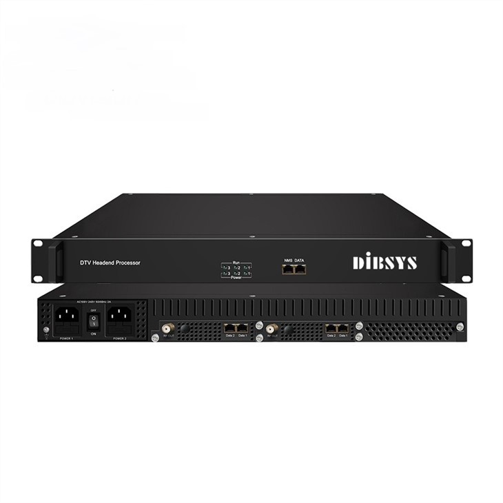 Multi-Standard Modulation Processor